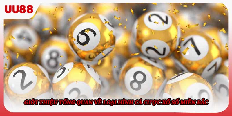 Giới thiệu tổng quan về loại hình cá cược xổ số miền Bắc