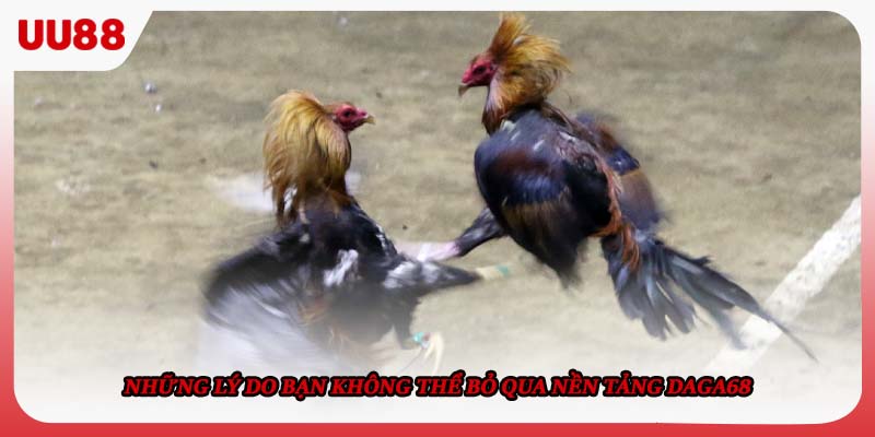 Những lý do bạn không thể bỏ qua nền tảng Daga68