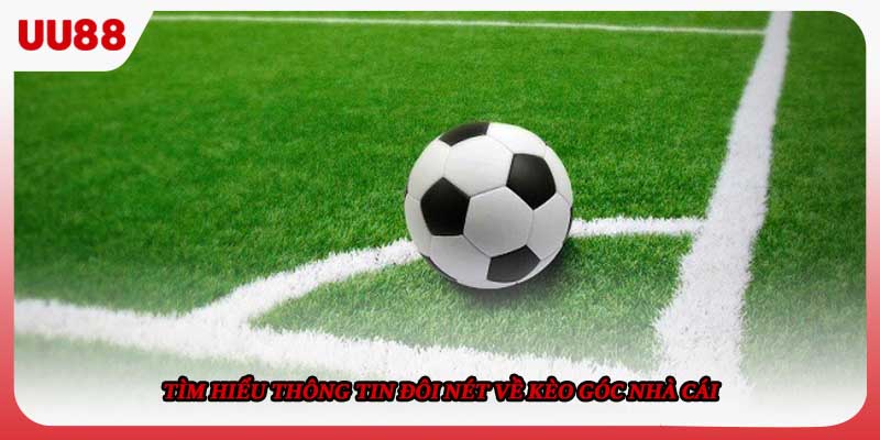 Tìm hiểu thông tin đôi nét về kèo góc nhà cái